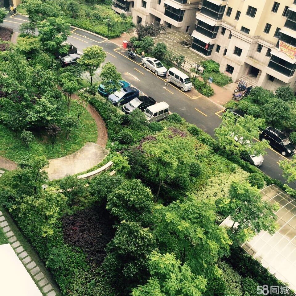杨家沁苑南苑 随时看房·