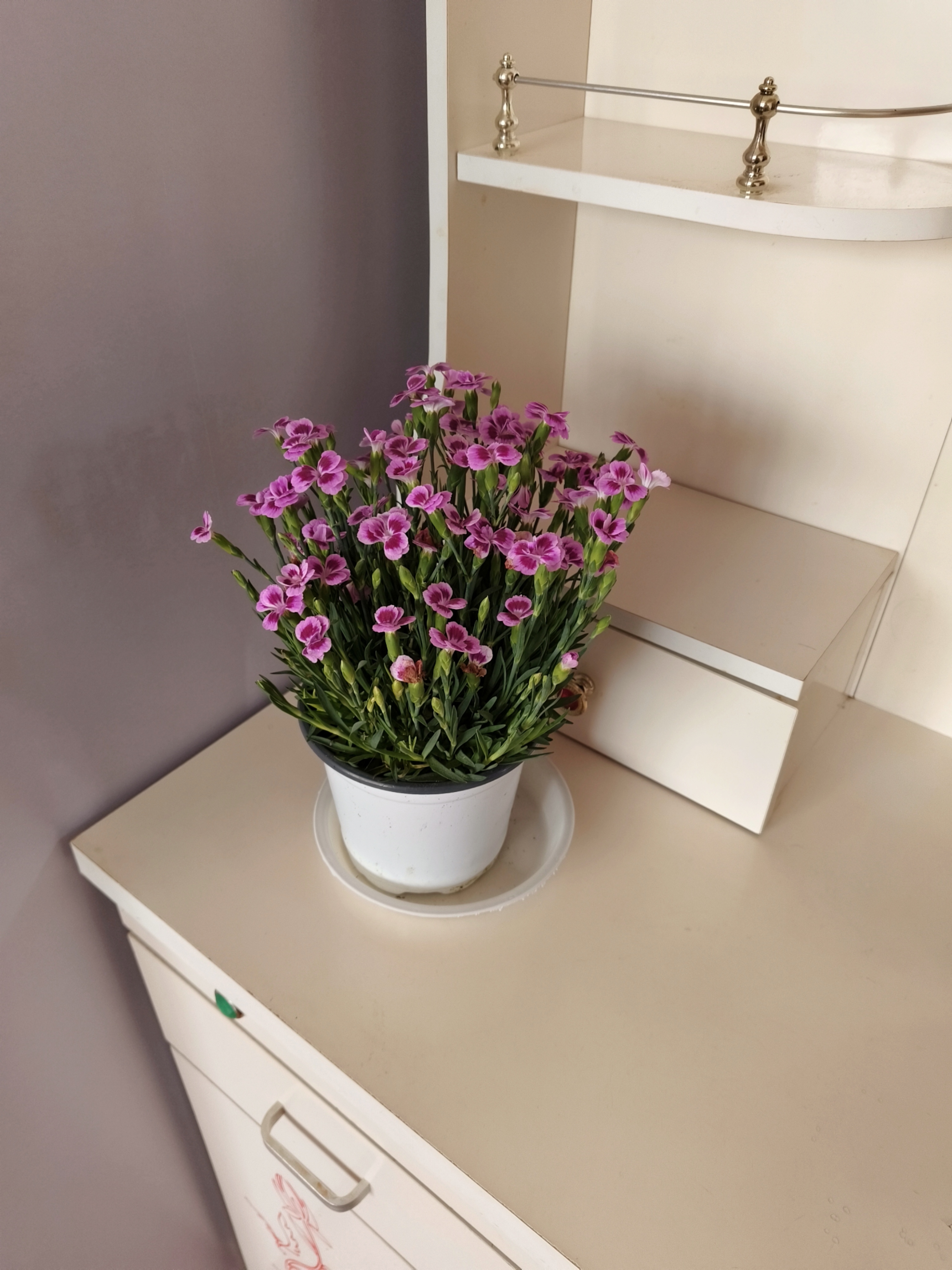 界龙花苑 随时看房·