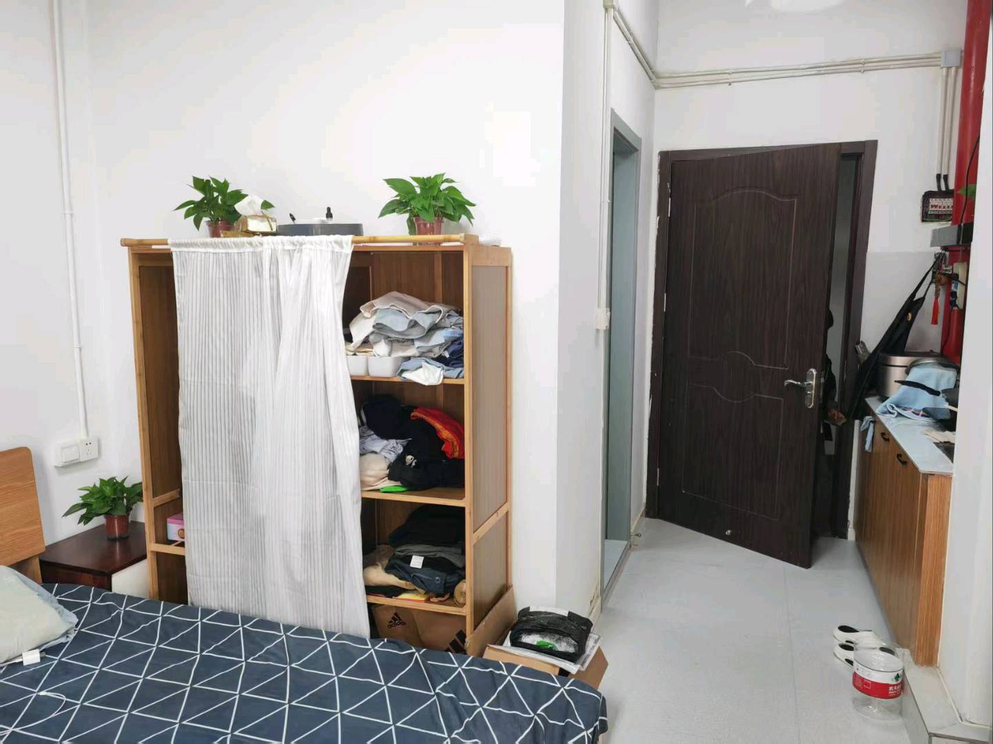 九里仓九山树 随时看房·