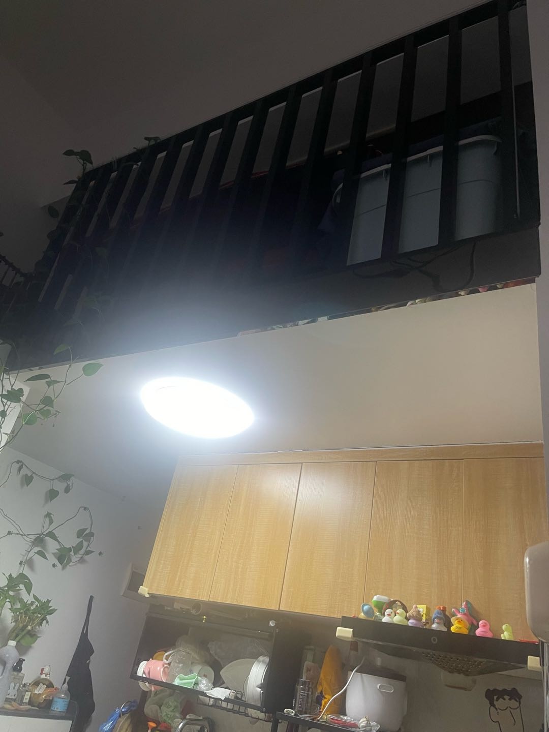 云城星悦 随时看房·