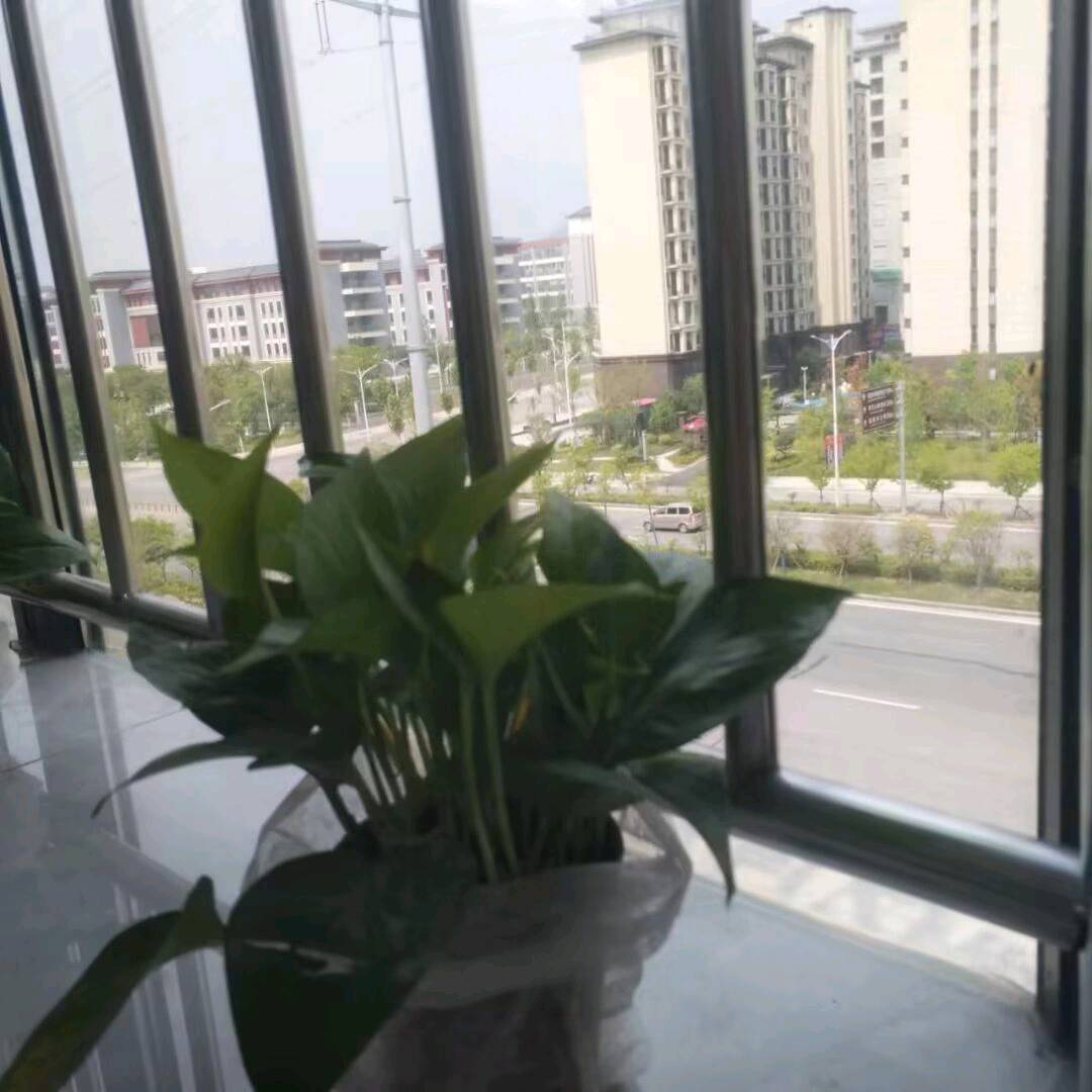 洲亿汽车博览城 随时看房·
