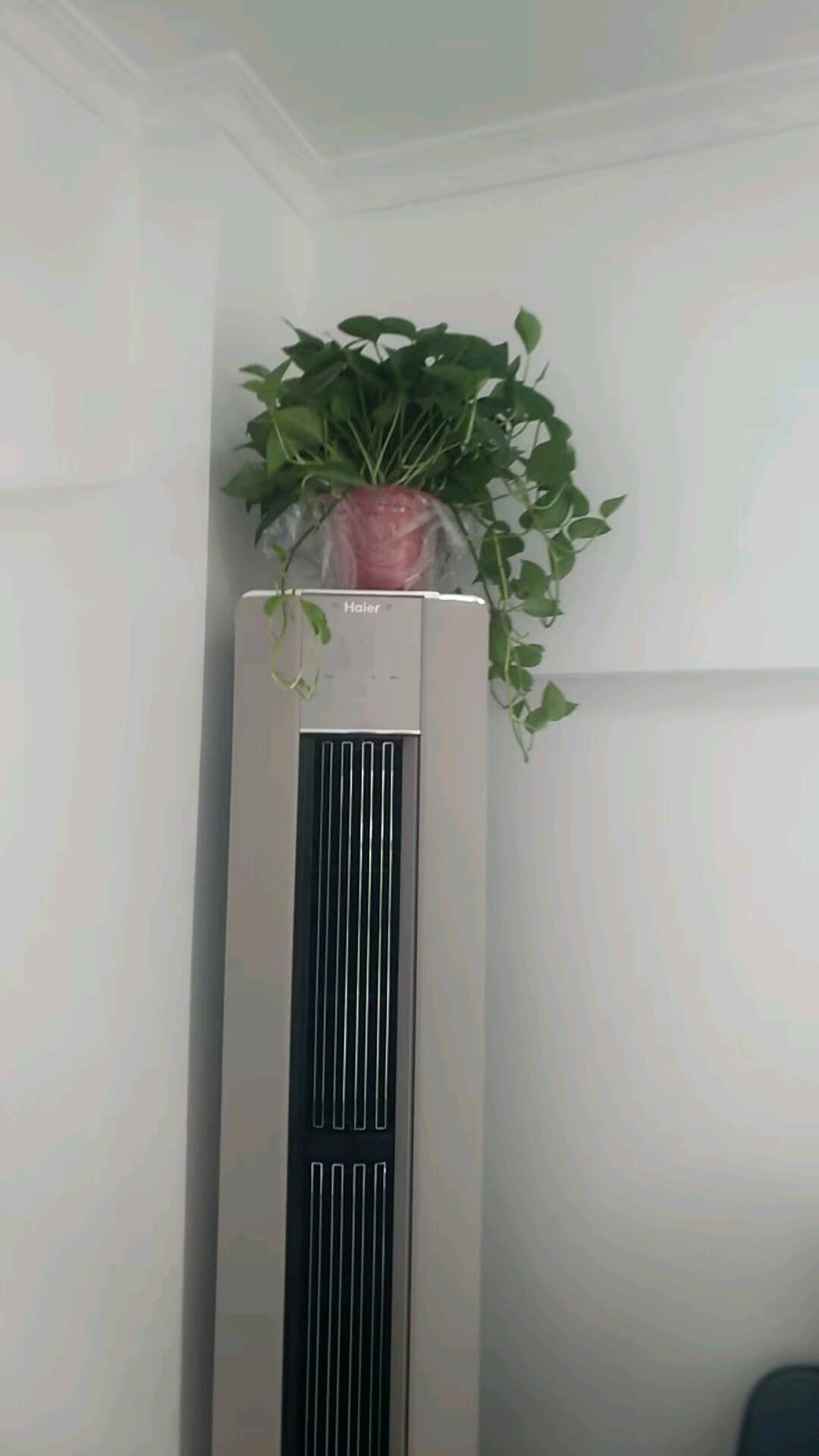 洲亿汽车博览城 随时看房·