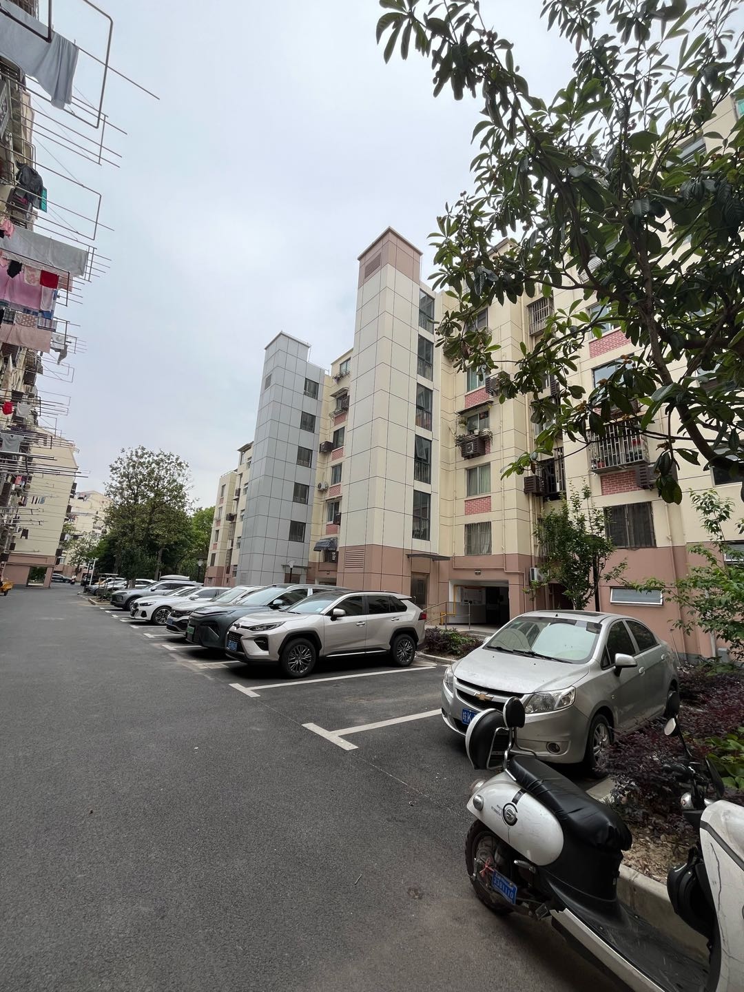 三林苑 随时看房·