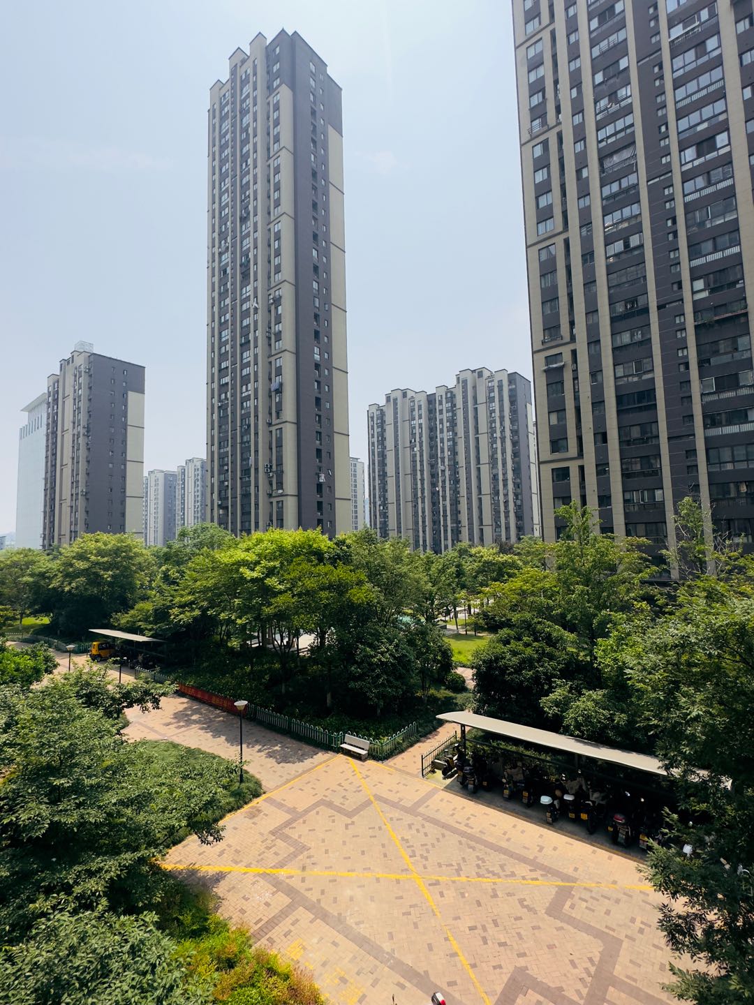 三墩卸紫家园 1居室 1000元/月