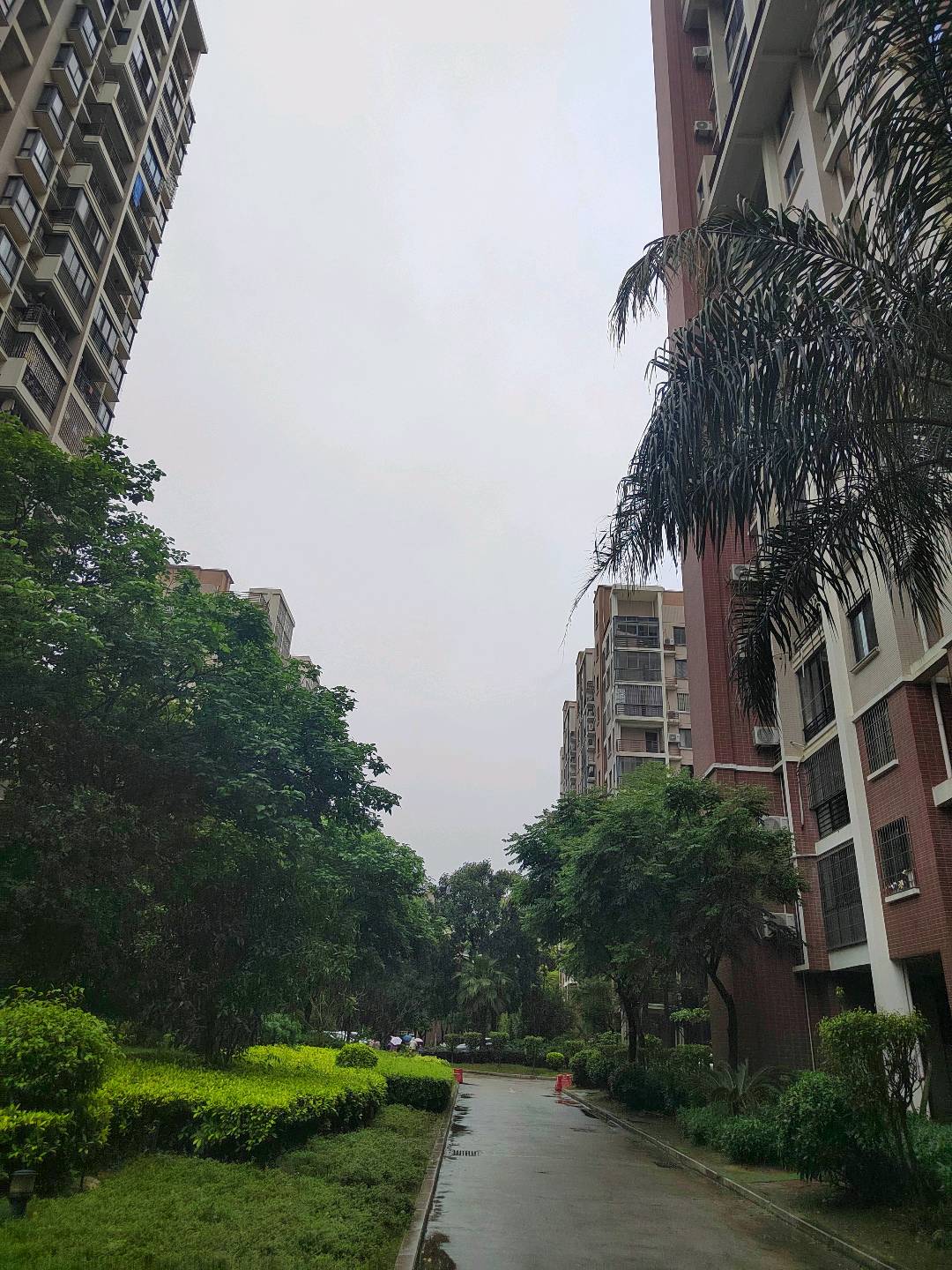 高校教师公寓 随时看房·