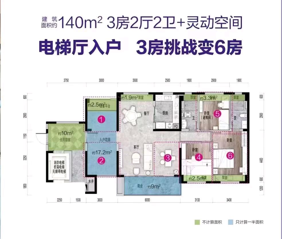 碧桂园新城之光 随时看房·