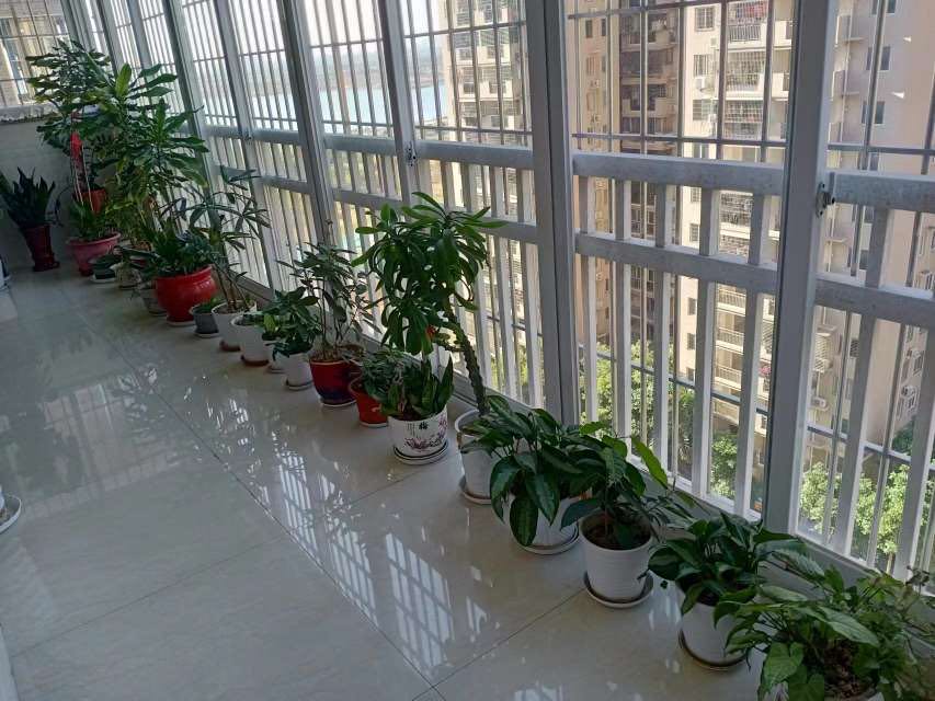 滨海花园 随时看房·