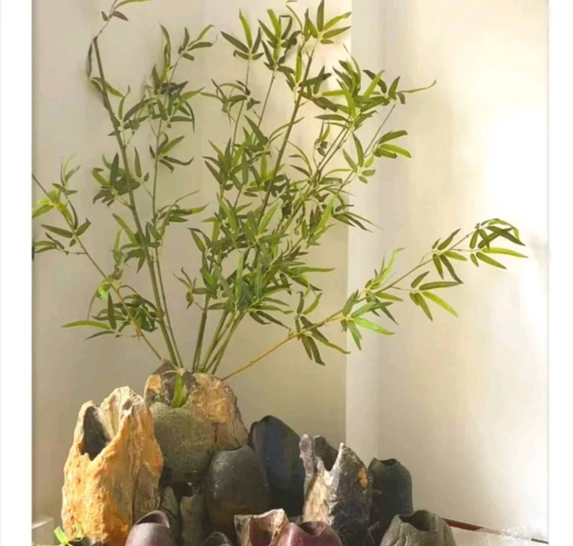 东山天境 随时看房·