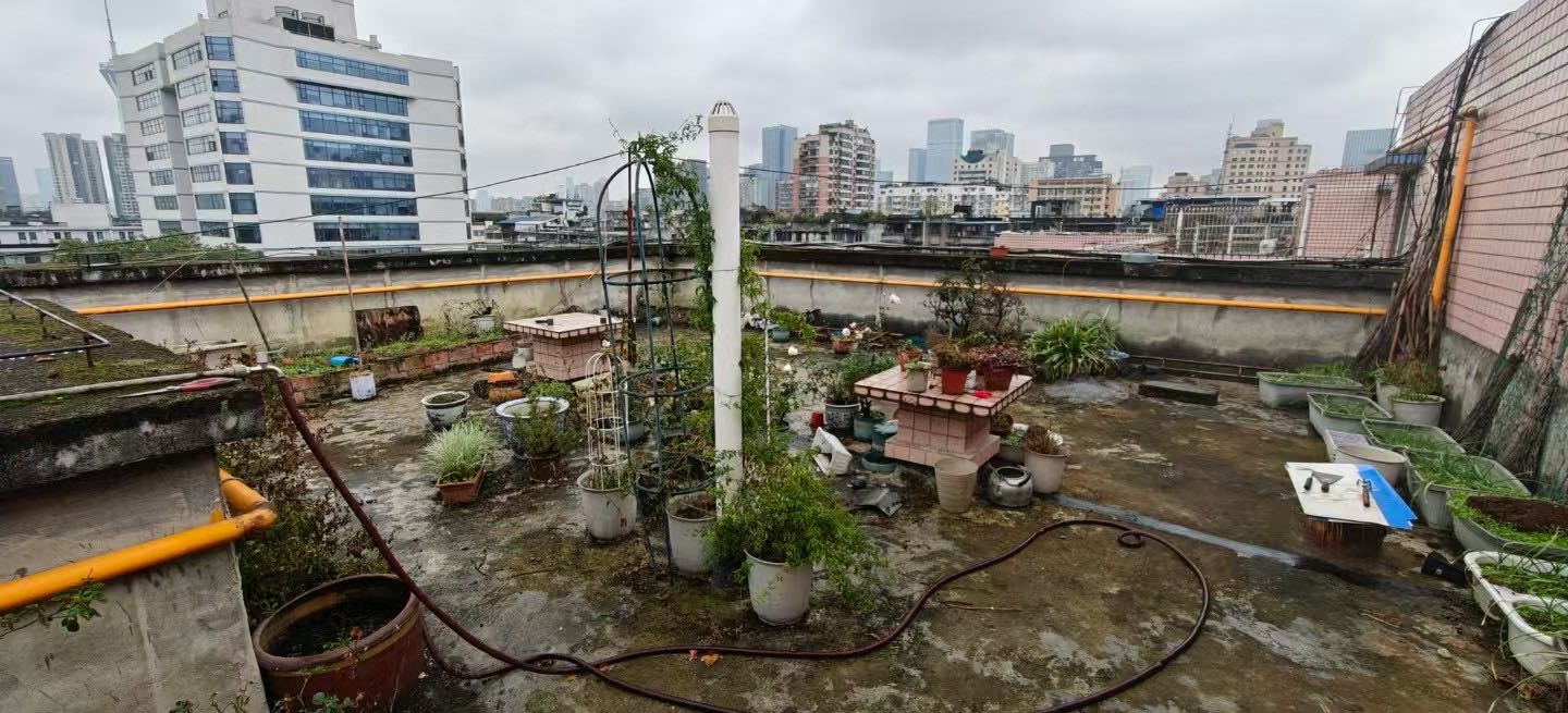 狮马路4号院 随时看房·