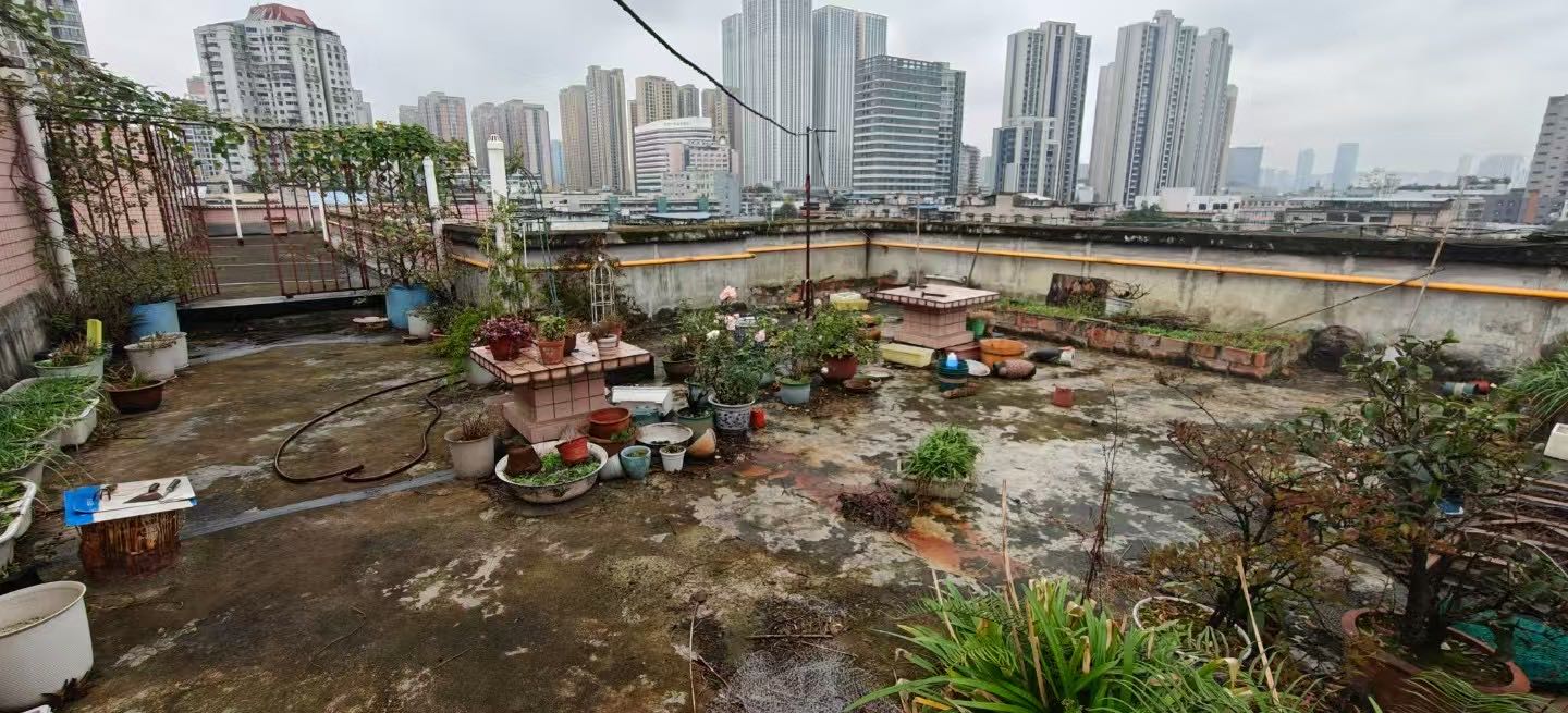 狮马路4号院 随时看房·