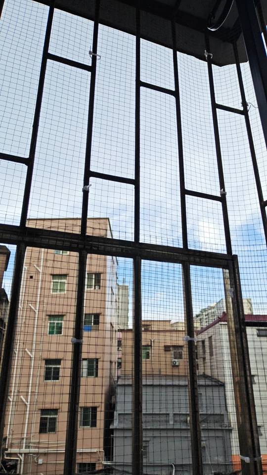 丹竹头 随时看房·