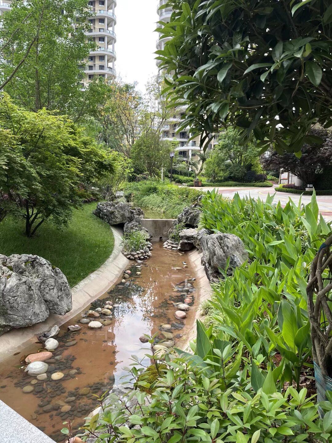 中央领域 随时看房·