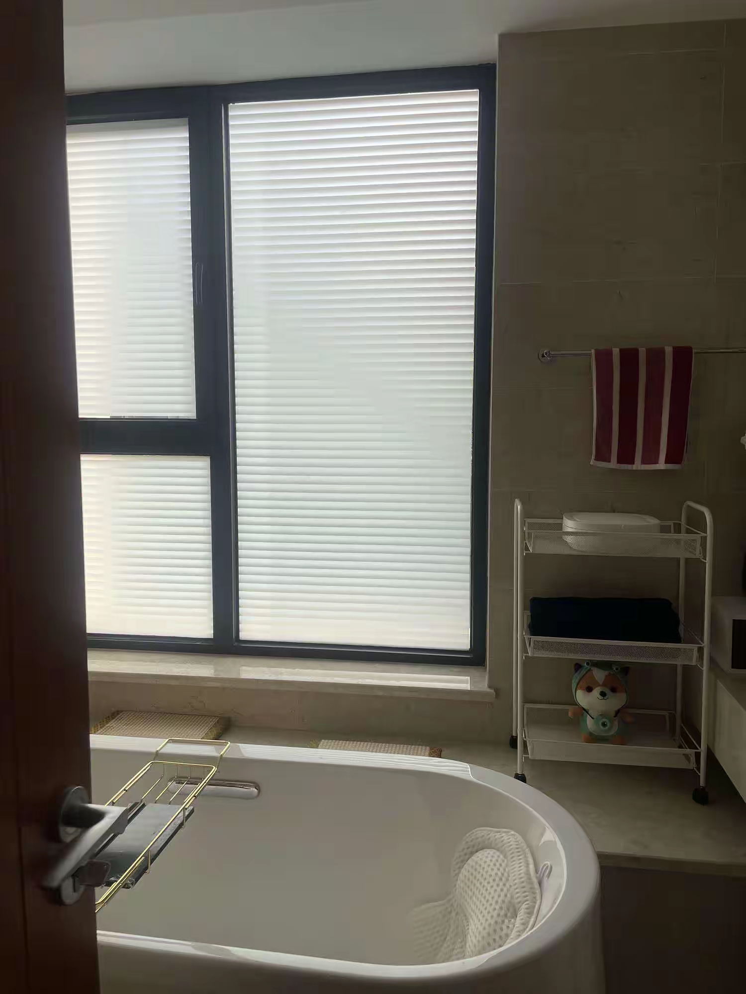 泰禾拾景园 随时看房·