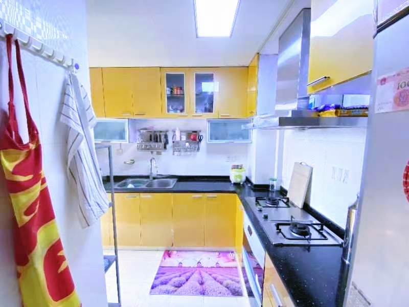 金沙雅范.未来街区 随时看房·