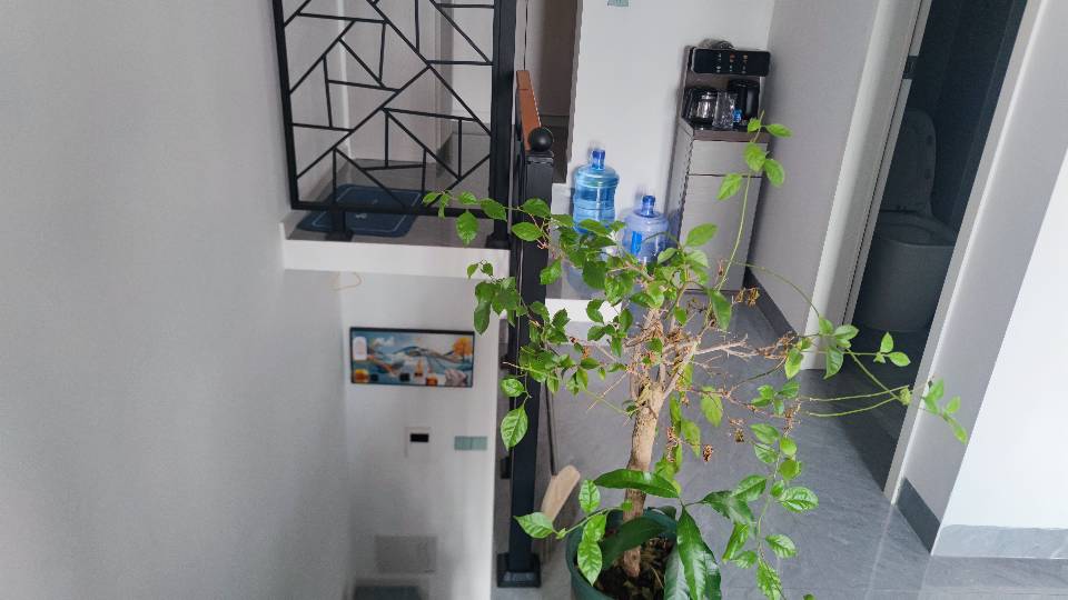 爱情广场 随时看房·
