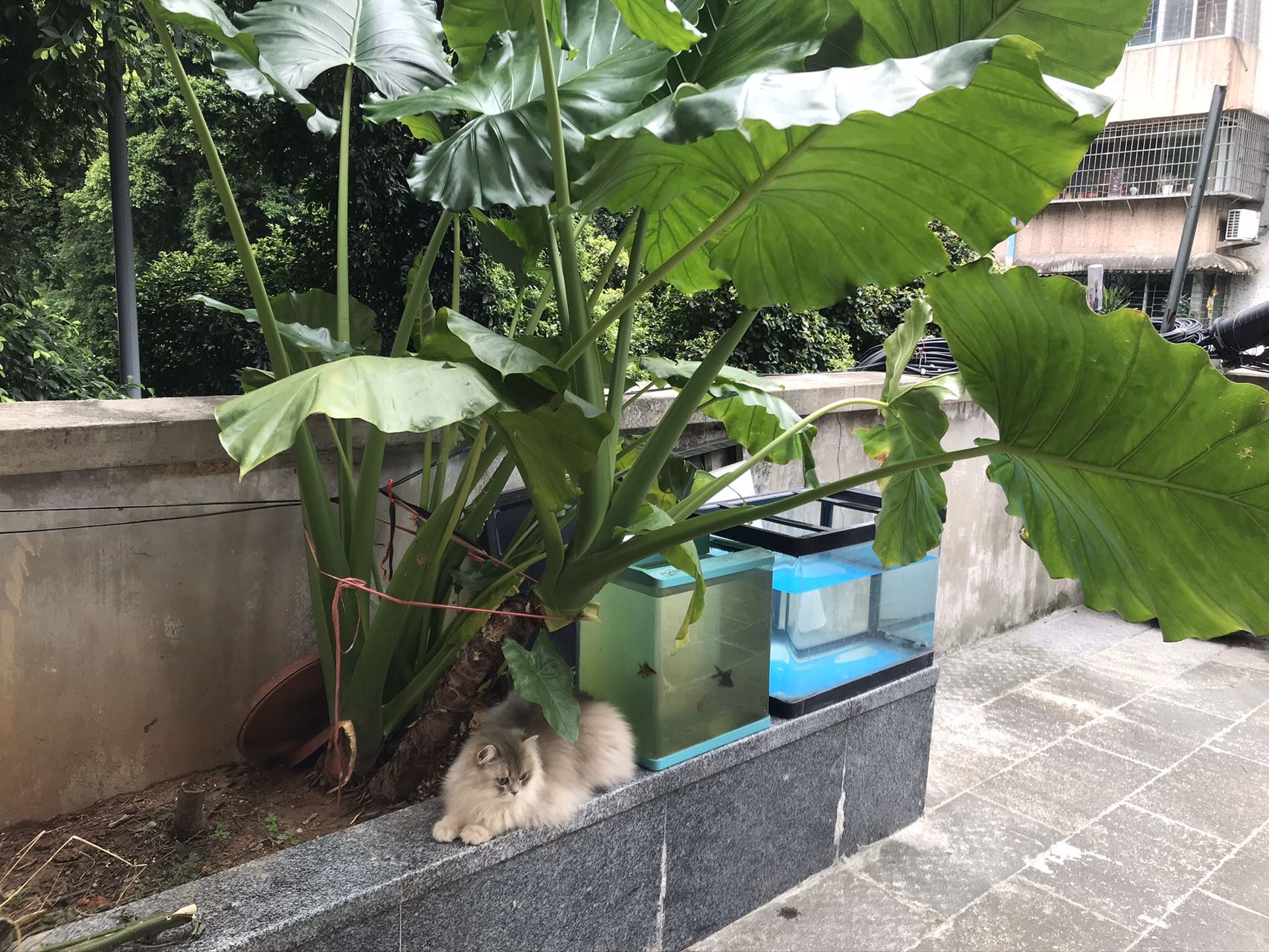 新市宏航苑 随时看房·