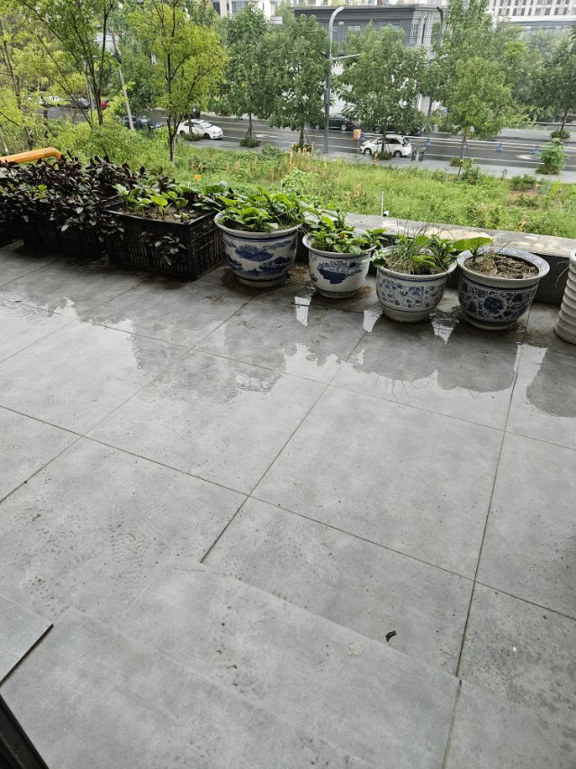 圆中大溪地 随时看房·