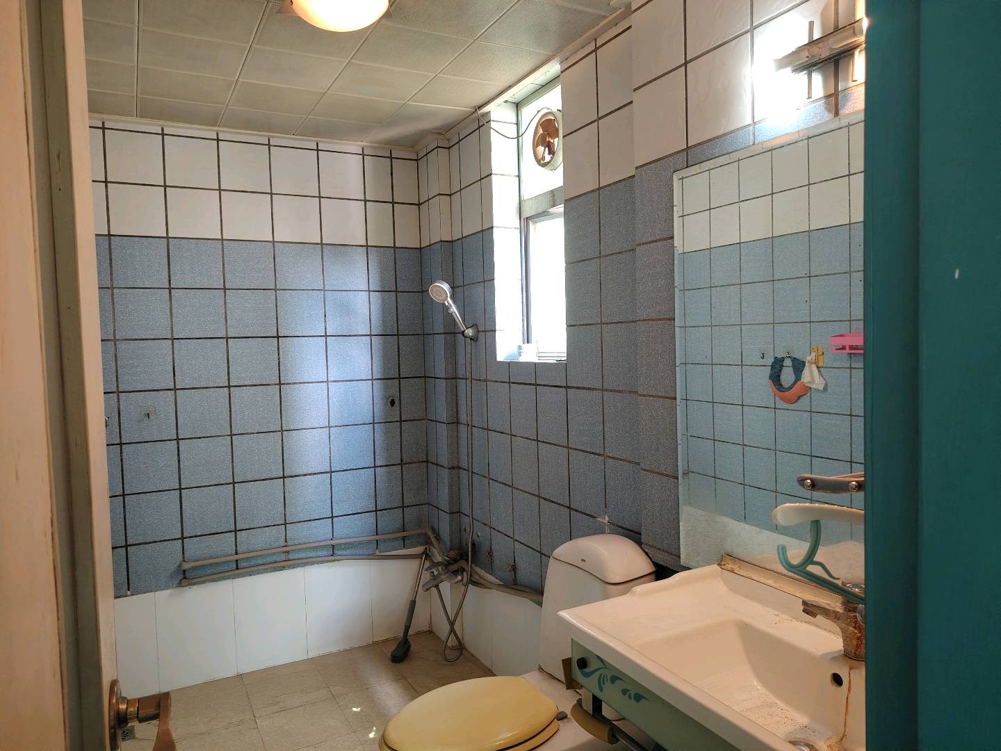 海滨花园 随时看房·