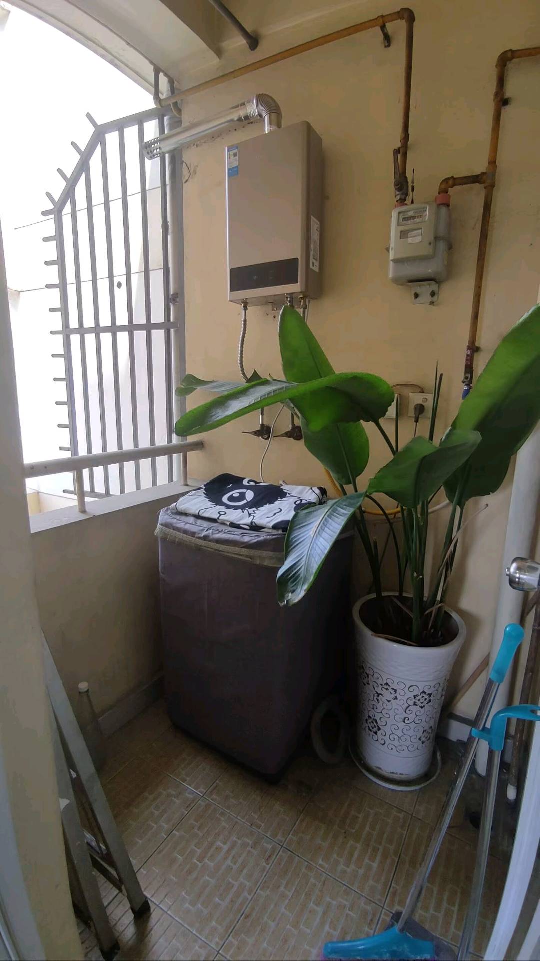 丽舍滨江 随时看房·