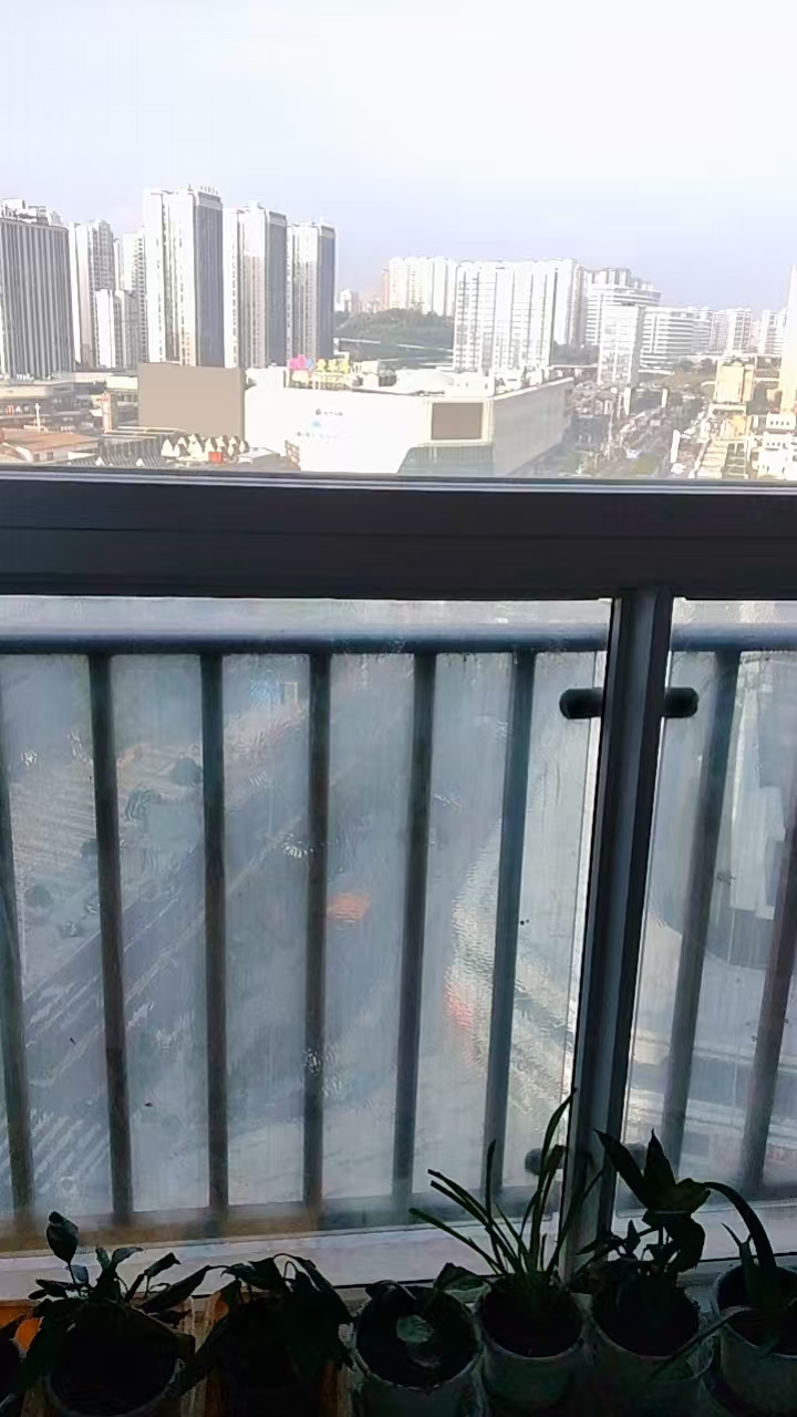 南湖水岸豪庭9栋 随时看房·