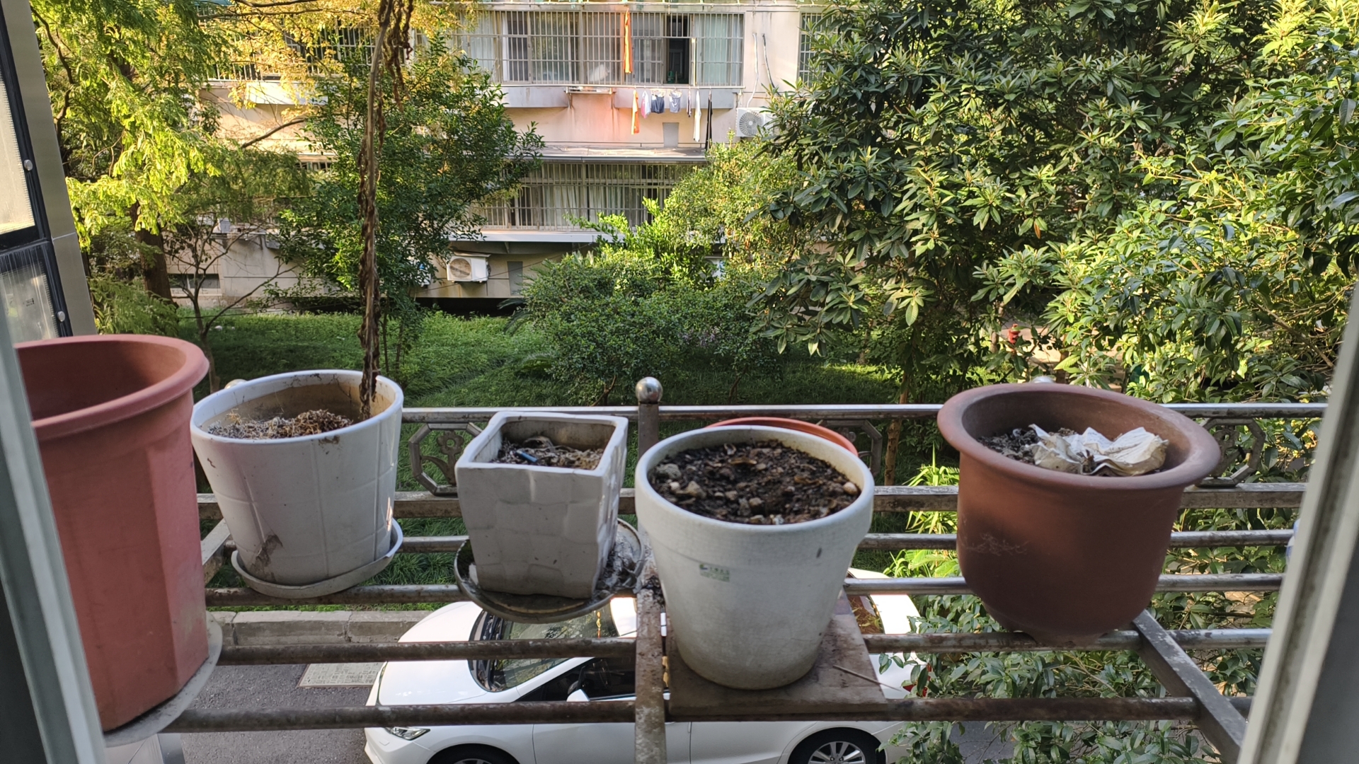 蓝天城市花园 随时看房·