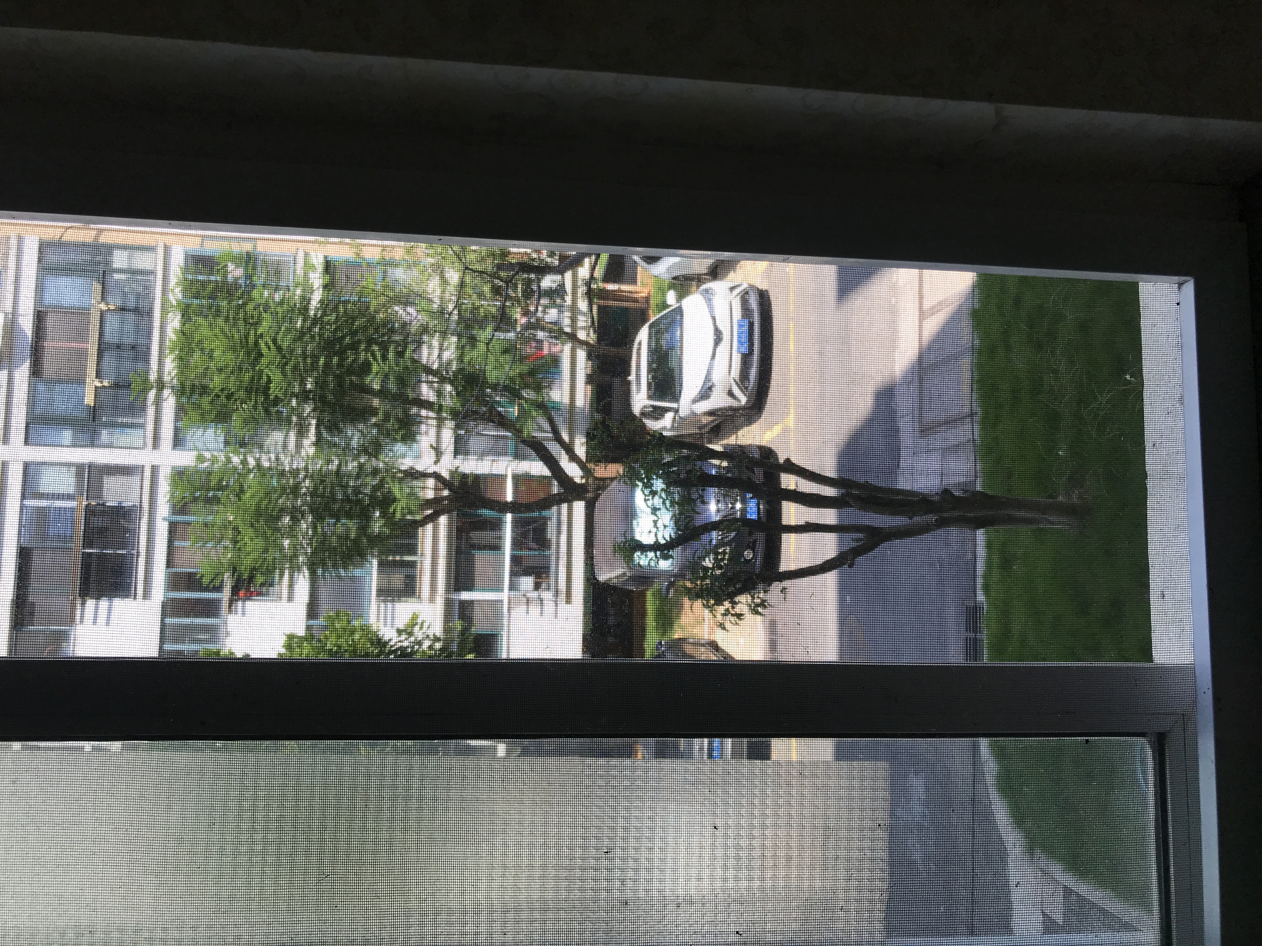 渎浦路秀水锦园 随时看房·