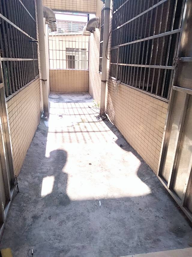 天河区黄村围福里 随时看房·