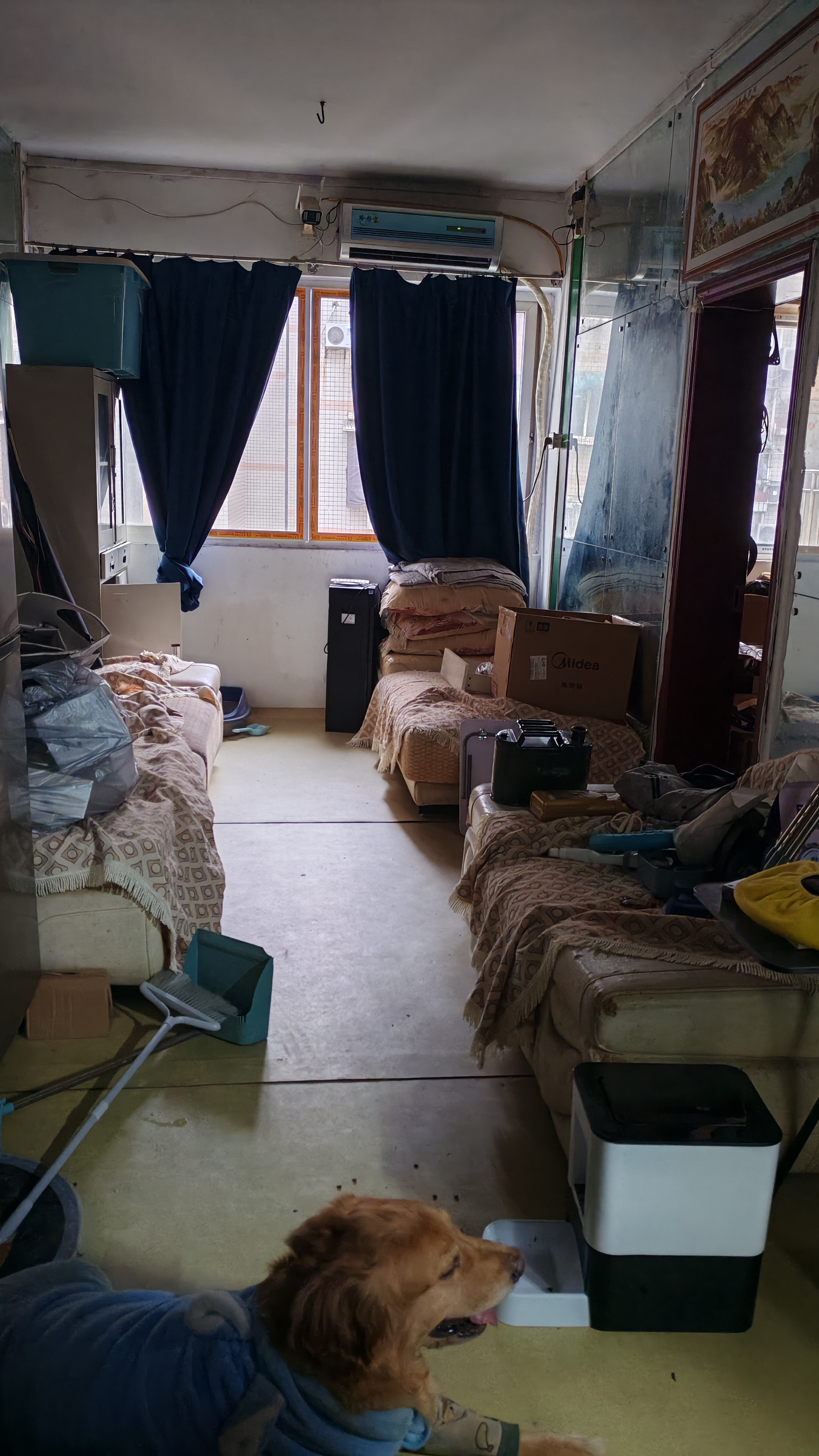 金果园小区 2居室 450元/月