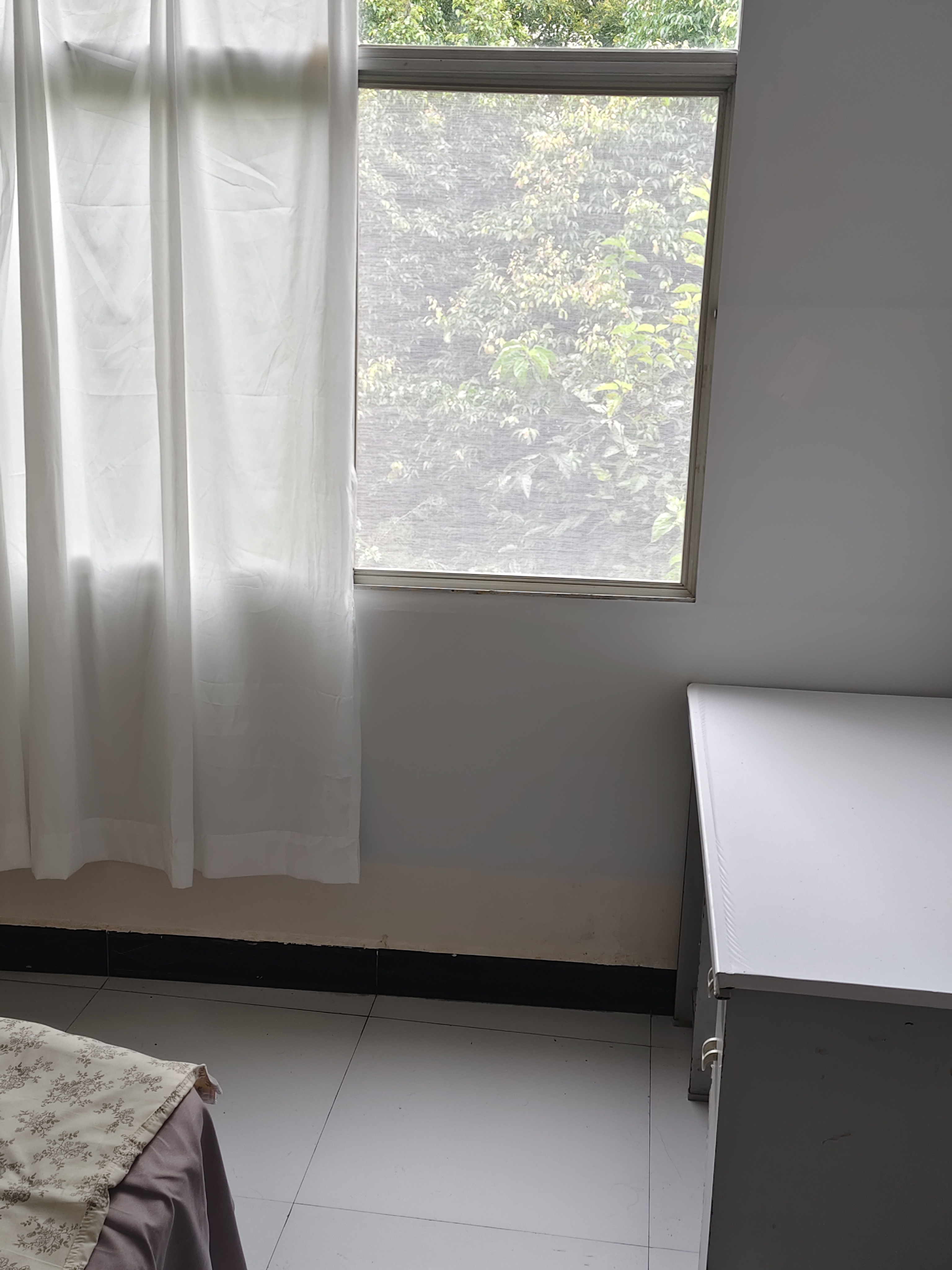 小屯 随时看房·