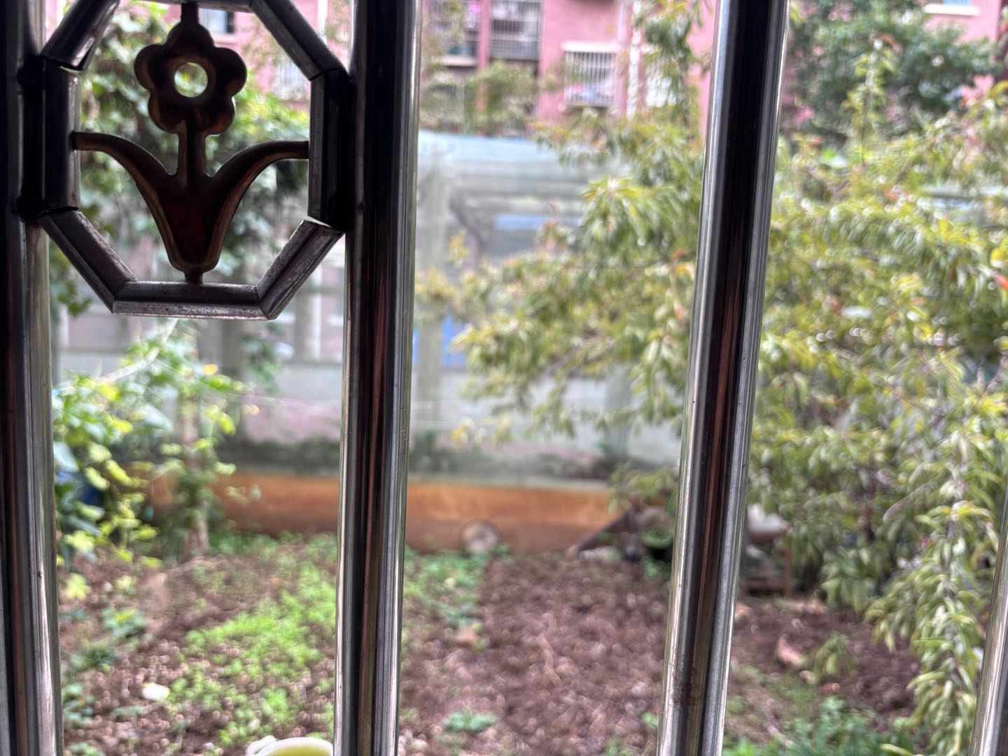 明乐苑 随时看房·