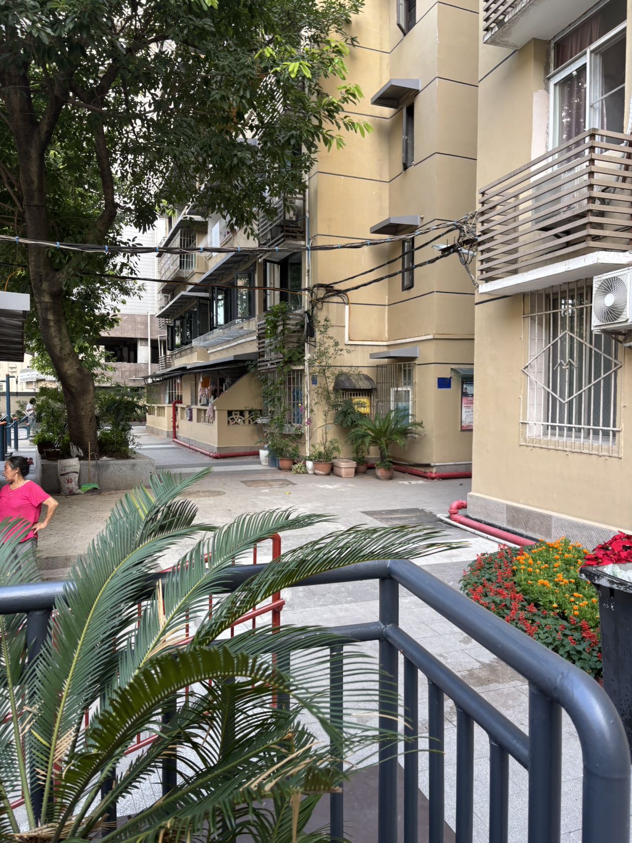 市委家属区 随时看房·