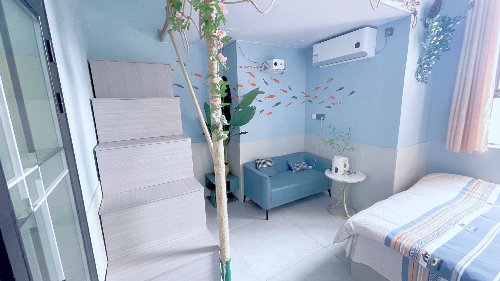 朝城路小区6号）