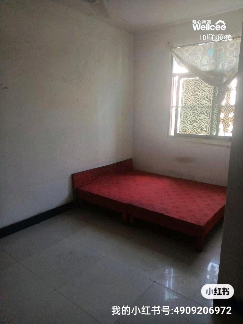 东崔家庄村 1居室 240元/月