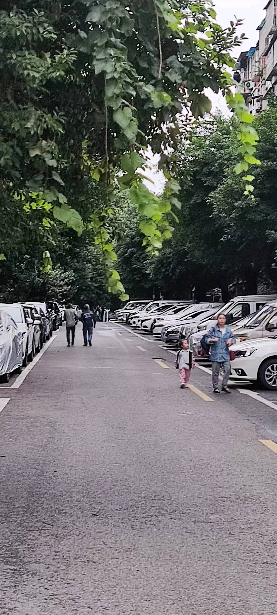 山水丽都 随时看房·