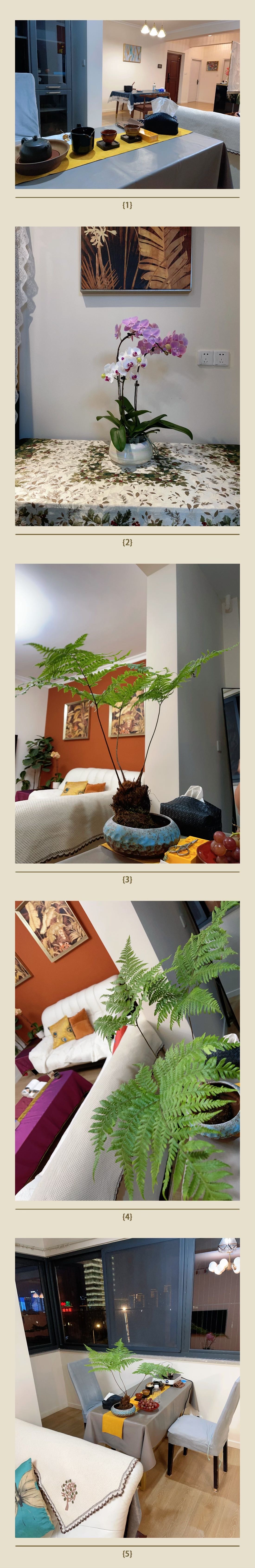 榕鹭佳苑 随时看房·