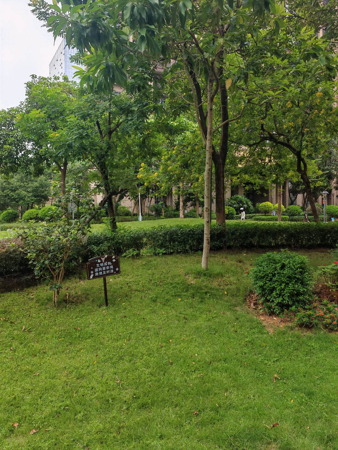 奥园香雪公馆 随时看房·