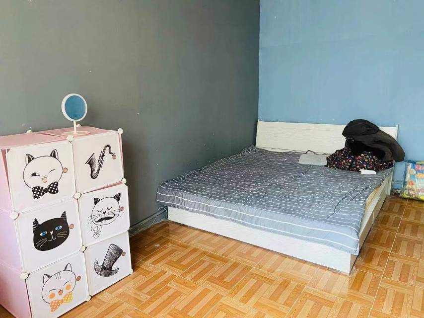 双新楼 1居室 700元/月