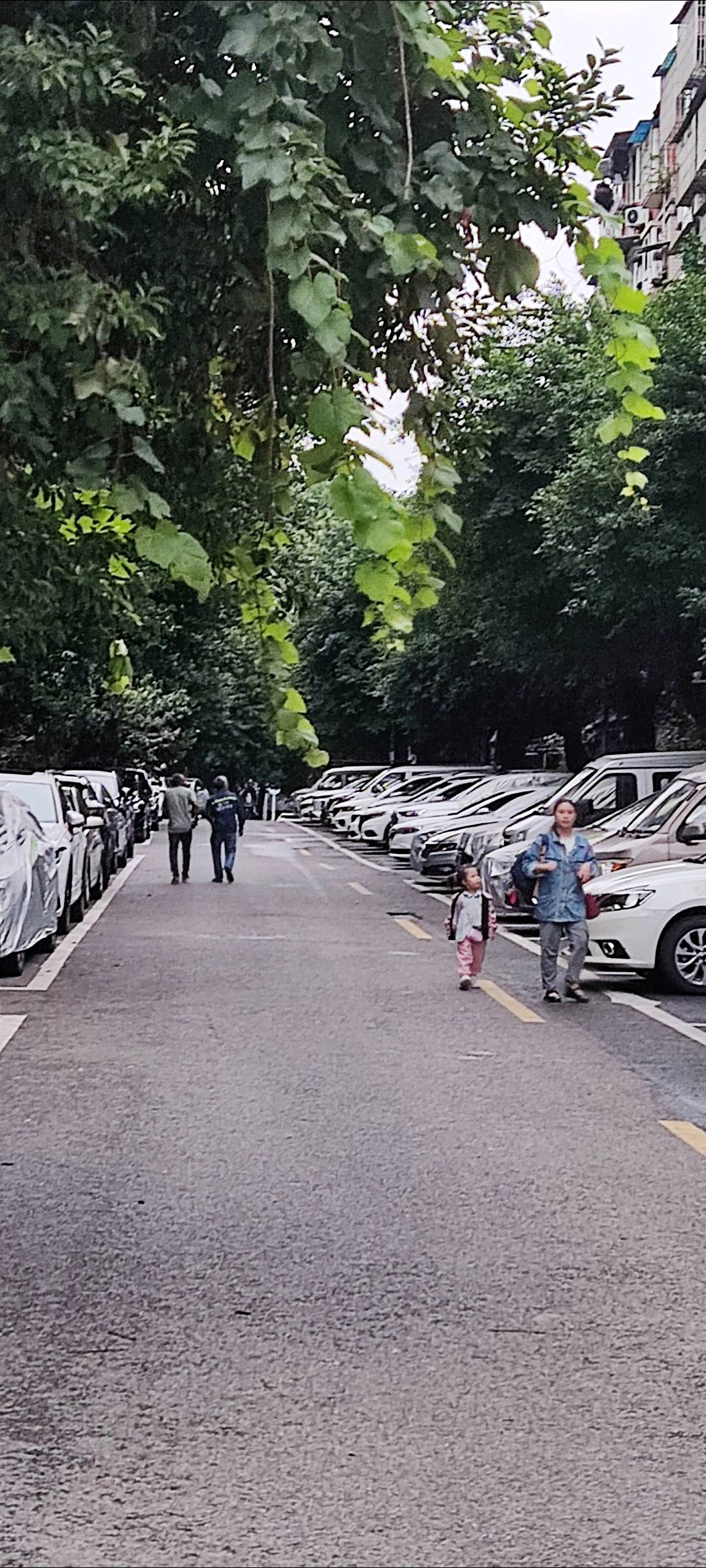 山水丽都 随时看房·