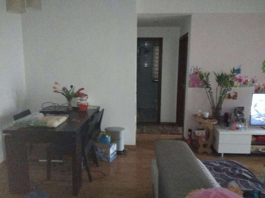 府河星城 随时看房·