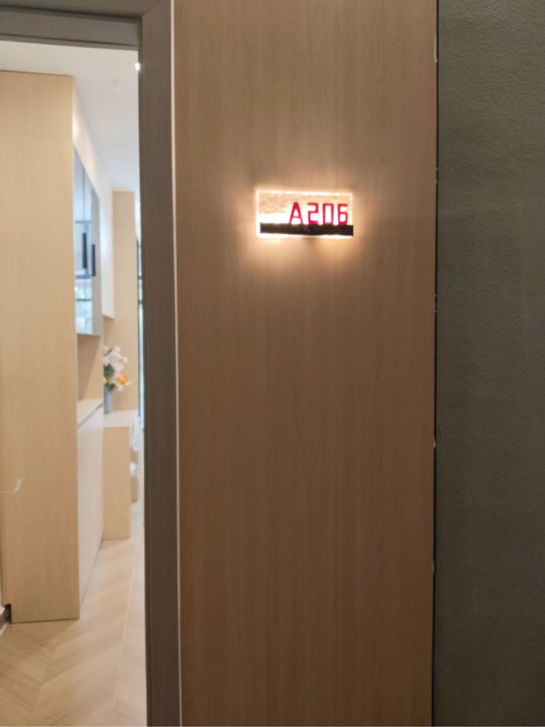 辉洋苑 随时看房·