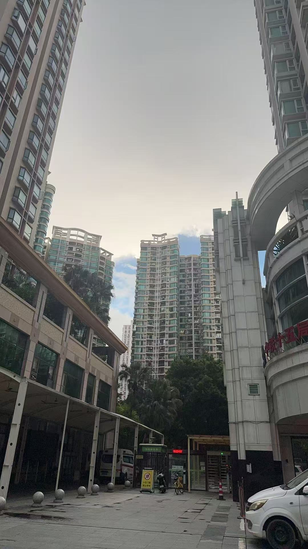 协和新世界 随时看房·