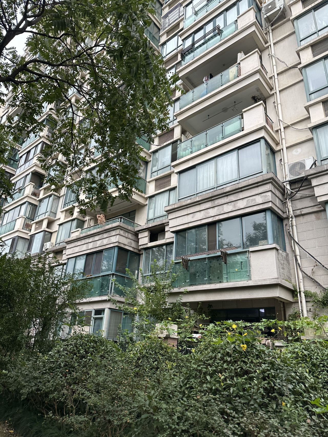 三湘四季花城 随时看房·