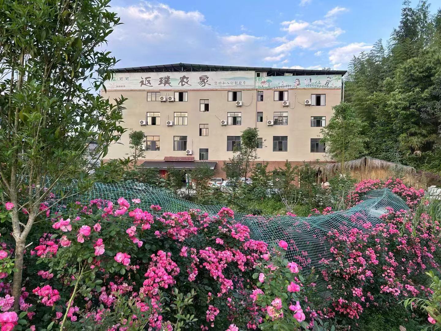 西蓝可可.归真民宿 随时看房·