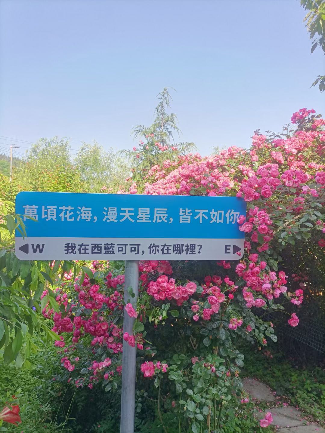 西蓝可可.归真民宿 随时看房·