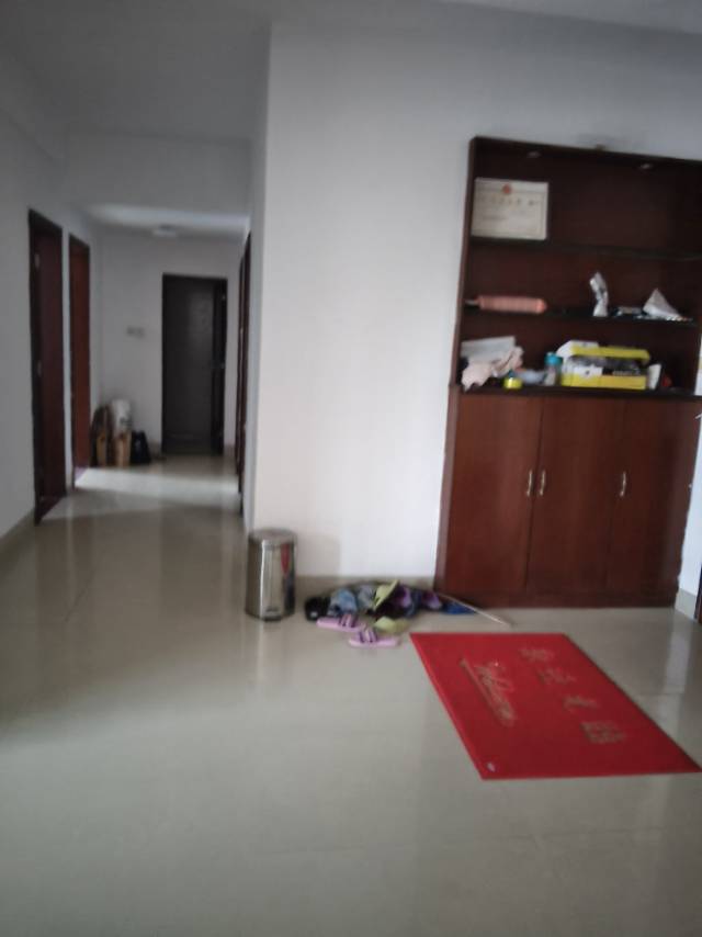 赤坎新华路18号）