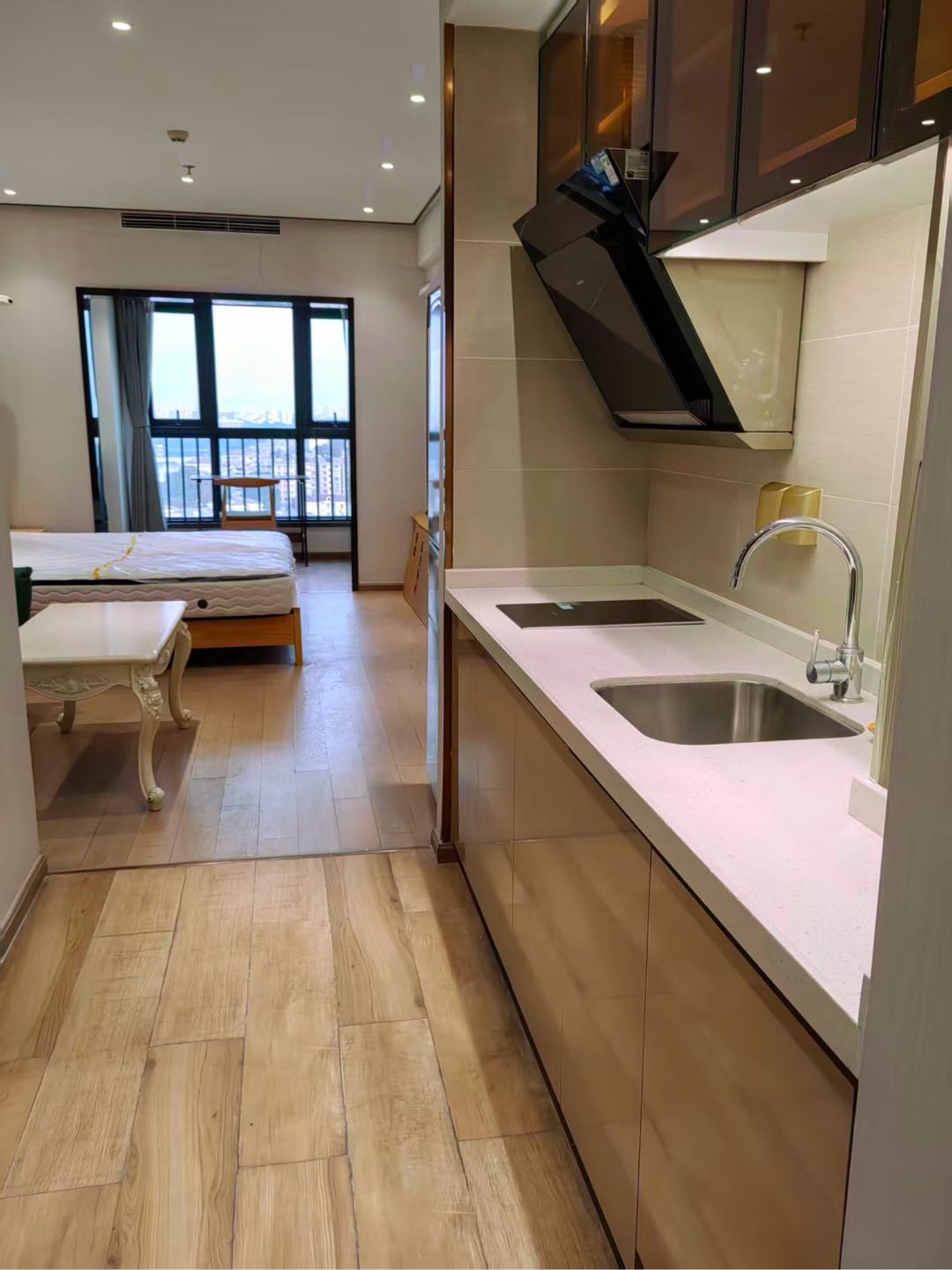 诚通 龙蟠汇 随时看房·