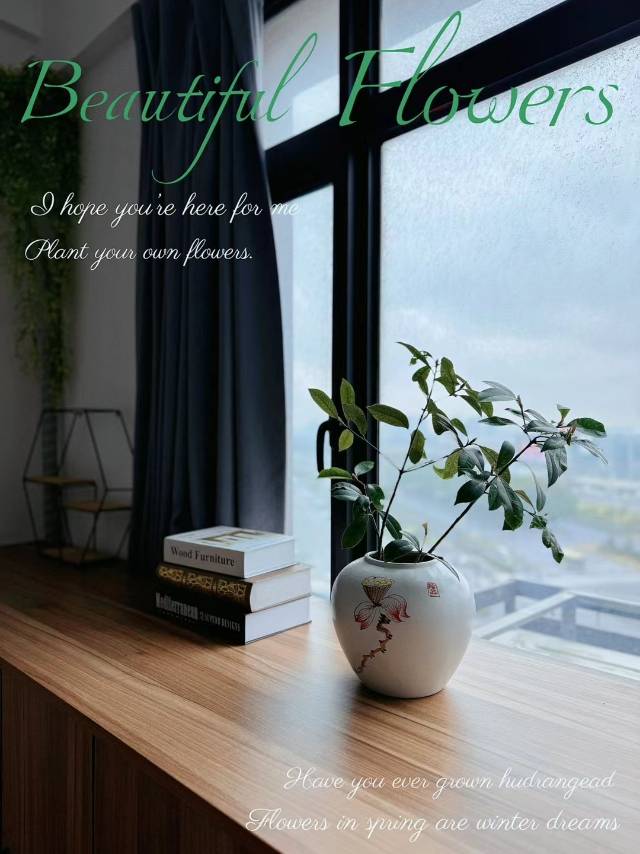 六维中央酒店 随时看房·