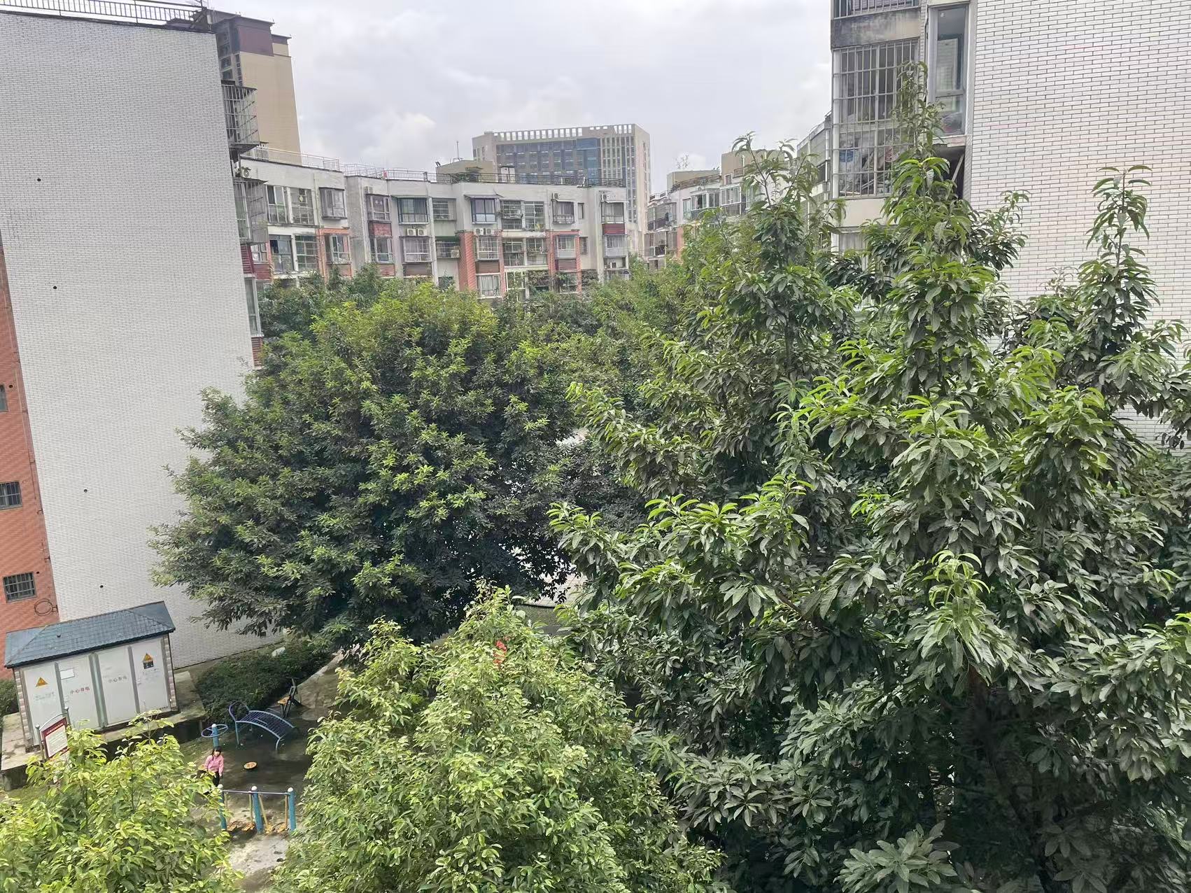 芦竹苑 随时看房·