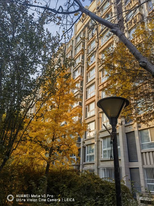 鲁疃嘉园 随时看房·