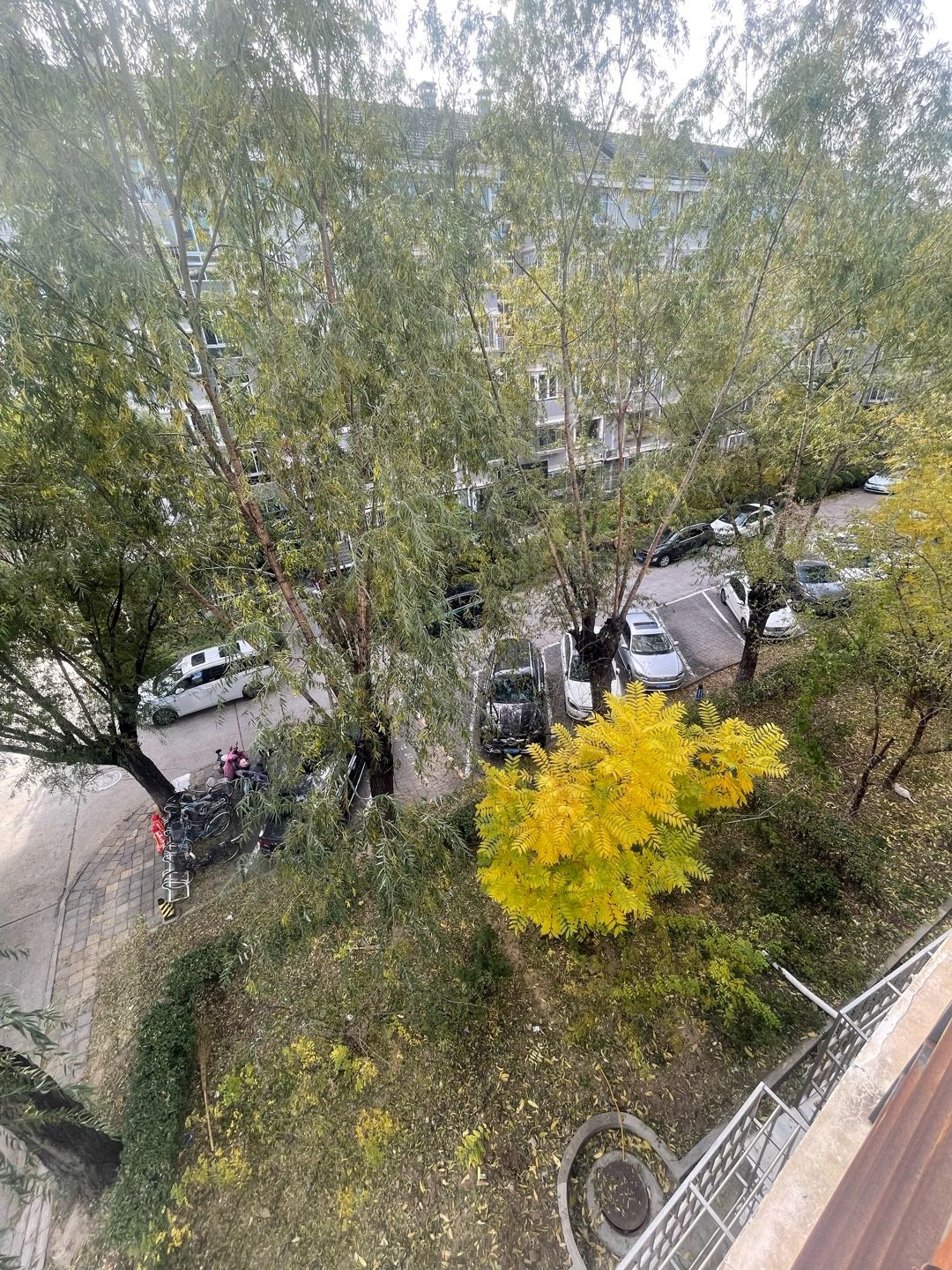 泽丰苑 随时看房·